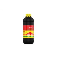 Rastea Soil Auto-Flowering 1L 